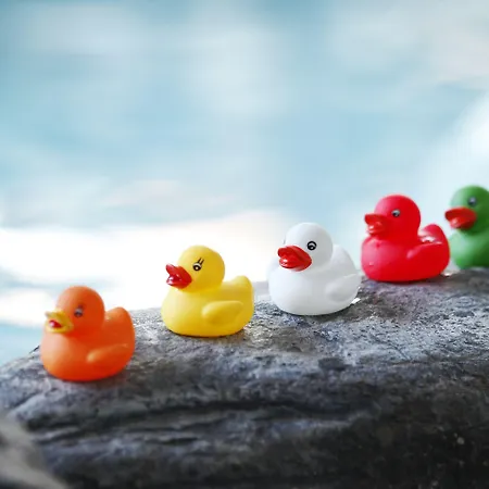 Santa's & Sani 칼라조키