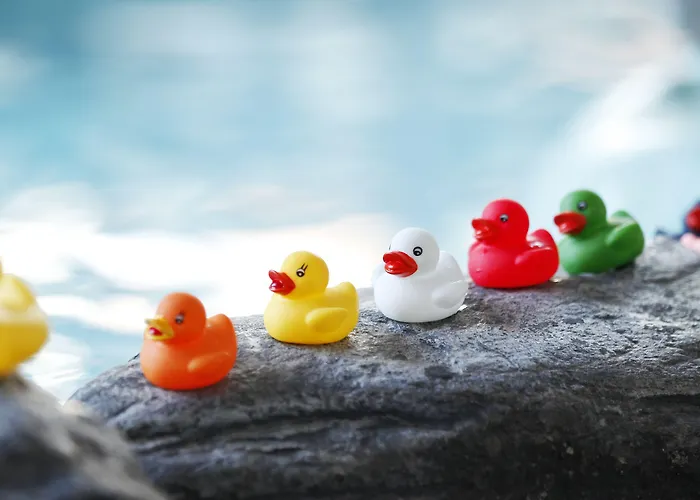 Santa's & Sani Kalajoki